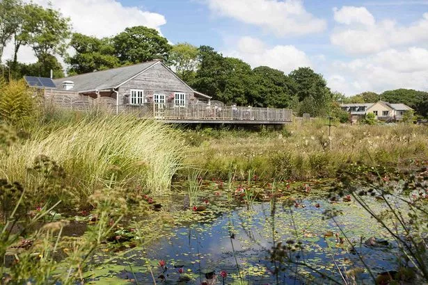 Penrose Kitchen sat among the water gardens