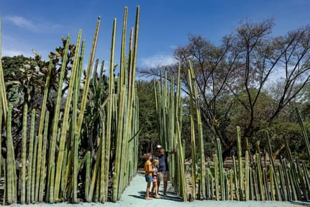 A man and two children in a botanical garden in Mexic