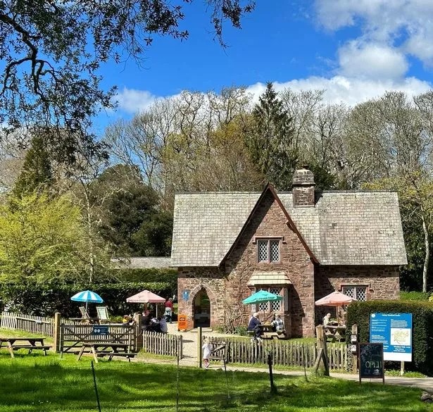 A café and tearoom on a bright summer's day