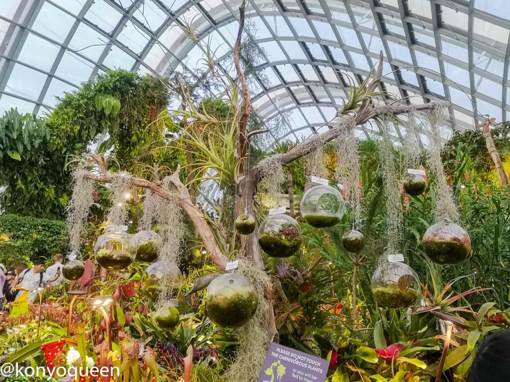 gardens by the bay, cloud forest, things to do singapore weekend, things to do singapore this weekend, singapore weekend, singapore weekend getaway, what to do singapore weekend