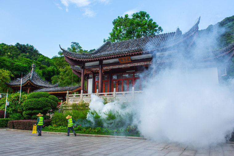 China's Guangdong Takes Measures To Curb Chikungunya Fever