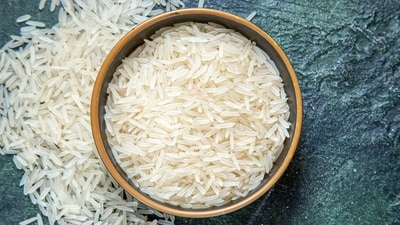 Zib Atkins cautions against brown rice due to arsenic toxicity and advises eating basmati and jasmine rice instead. (Freepik) Zib Atkins cautions against brown rice due to arsenic toxicity and advises eating basmati and jasmine rice instead. (Freepik)