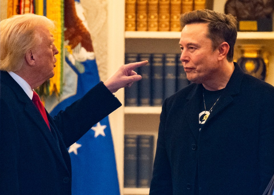 Donald Trump and Elon Musk speaking in the White House.