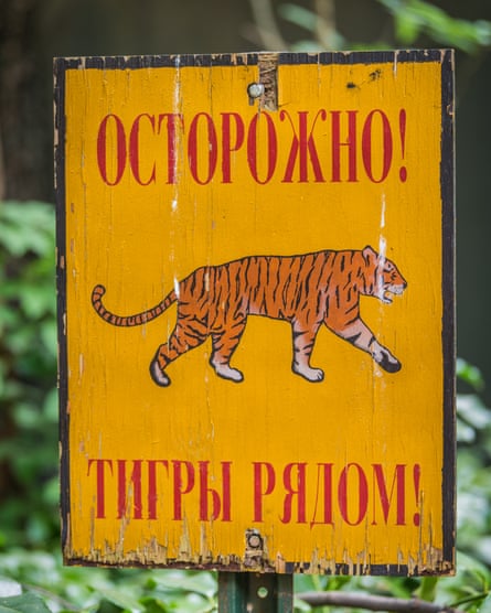 A yellow sign with the picture of a tiger with Cyrillic script on it