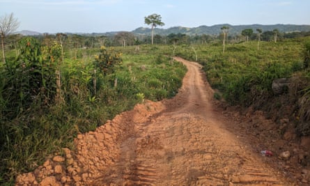 A rough dirt road among greenery