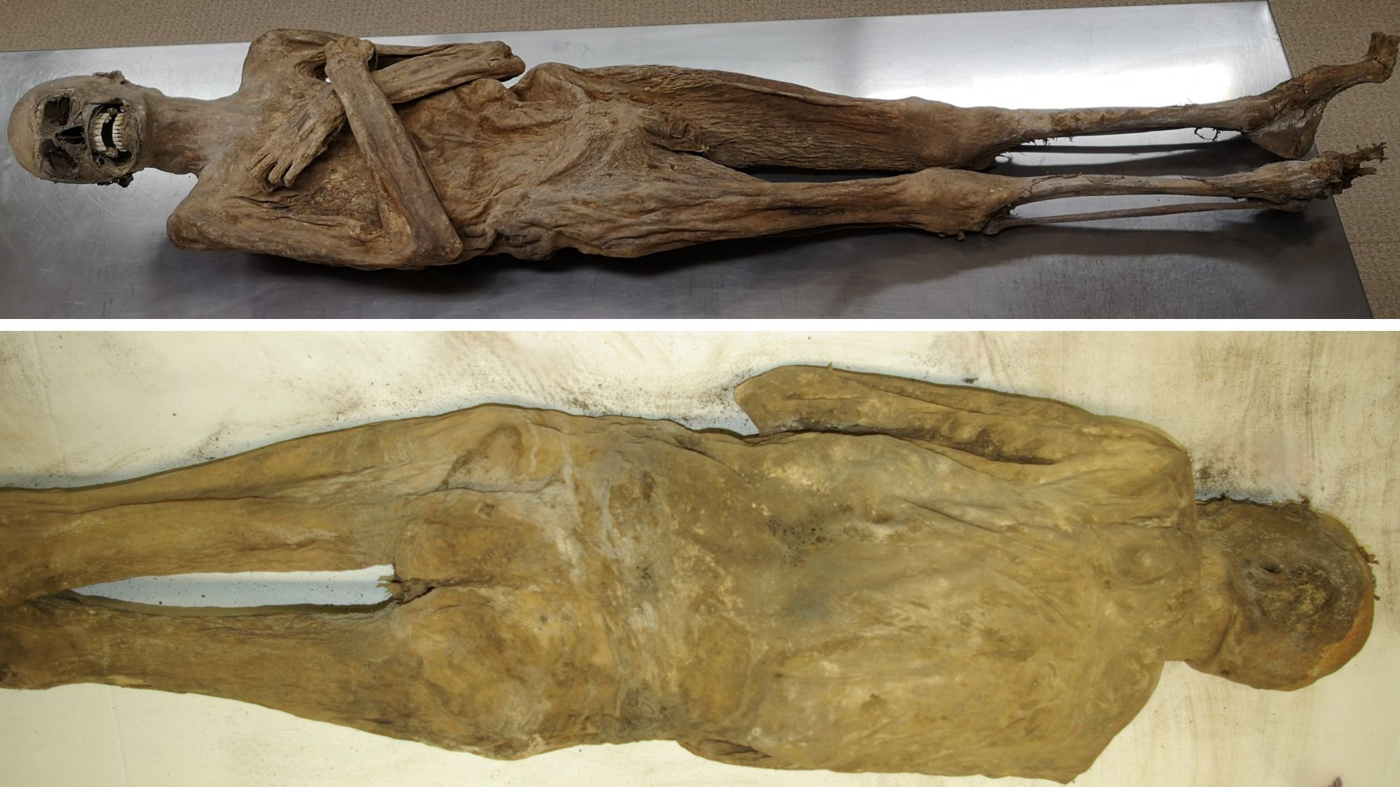 Front (top) and back (bottom) of a human male mummy. His arms are crossed over his chest.