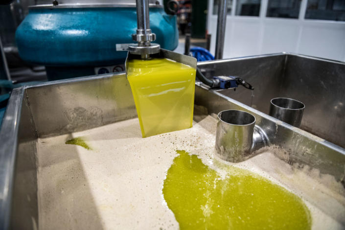 Light green oil in a container and some in a sink