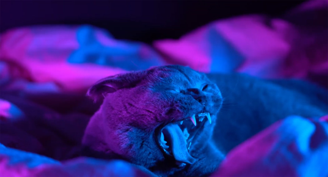 Toaster Singapore releases Google Insta-Highlights campaign recreating late-night football matches as daily Instagram stories