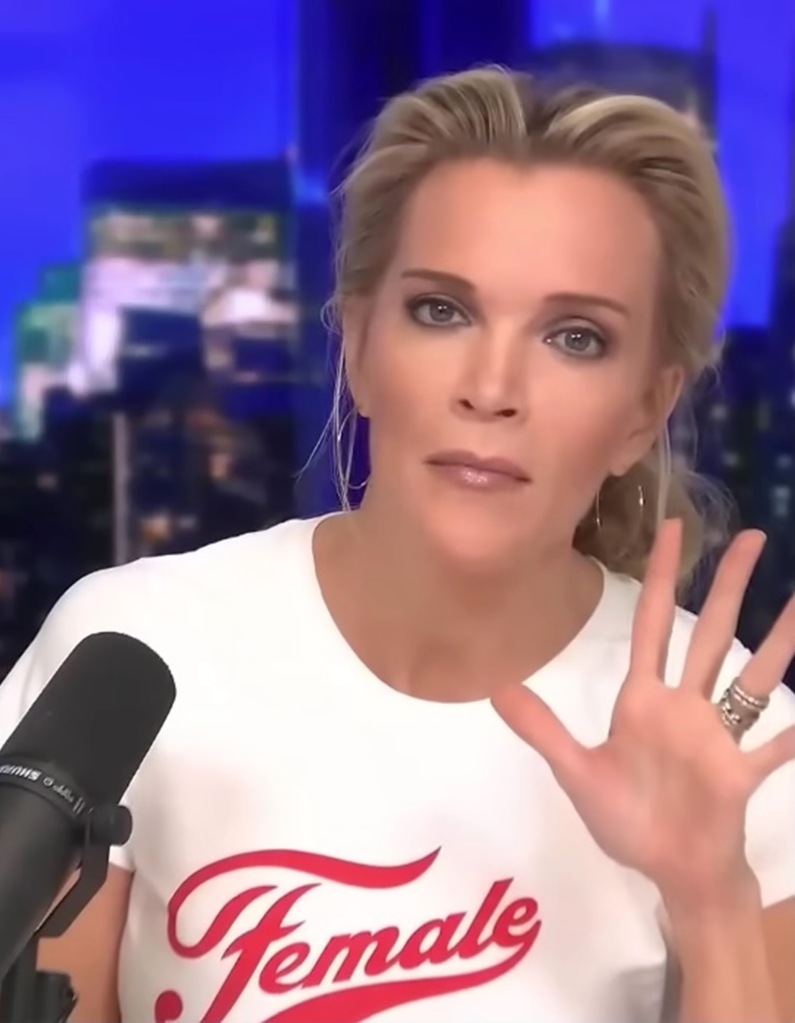 Megyn Kelly was critical of the US Navy's use of a non-binary drag queen to help its recruitment drive.