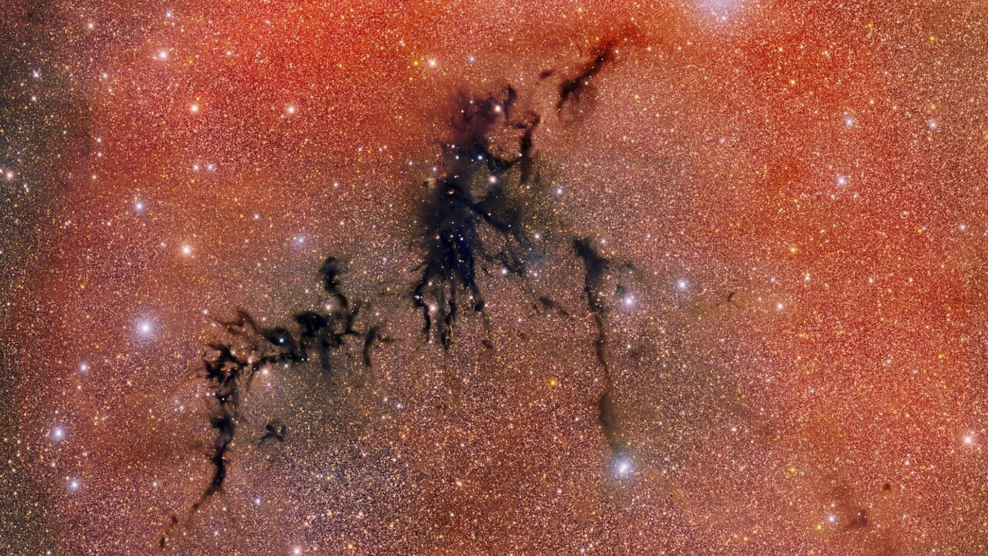 An image of the Circinus West molecular cloud