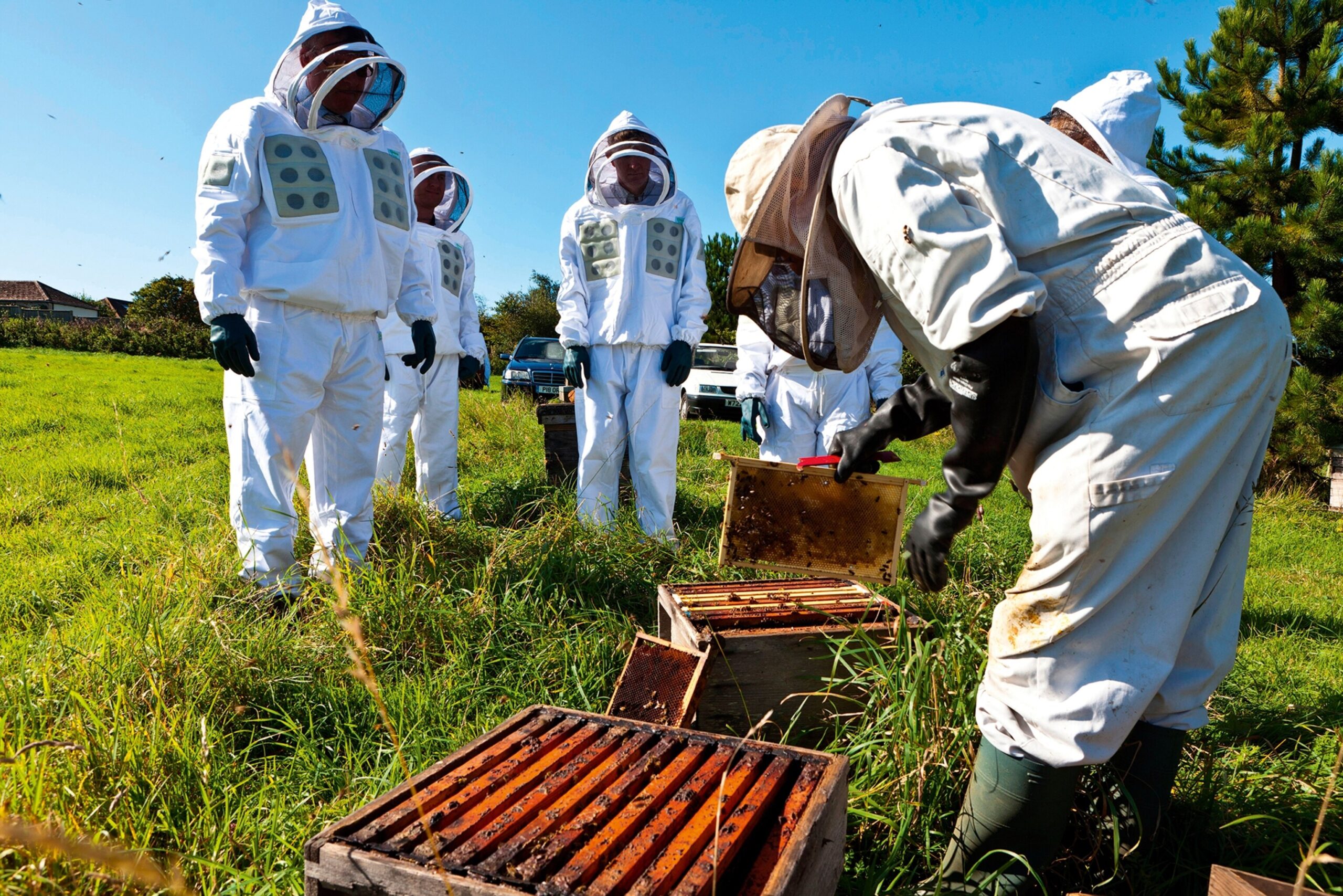 A group clothed in beekeeper suit, gathered around a guide explaining farming honeycombs on a field.