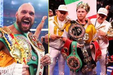 List of current men's boxing world champions