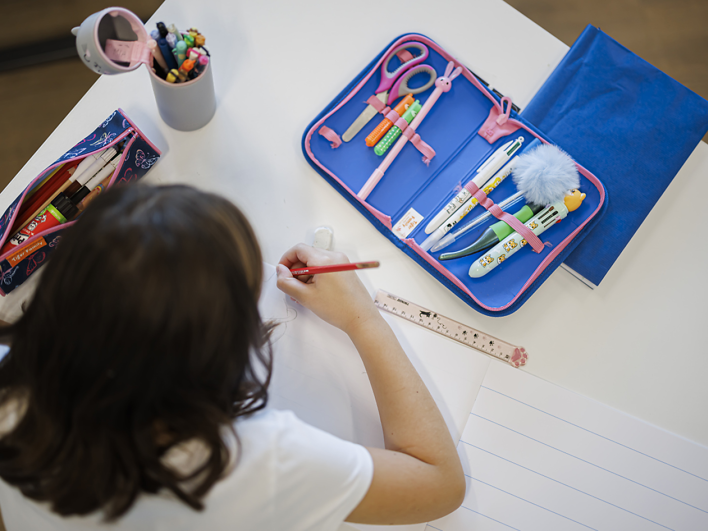 Sharp rise in racism incidents in 2024