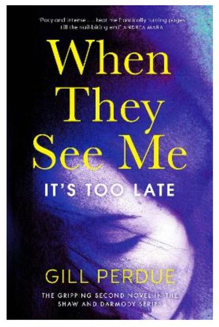When They See Me by Gill Perdue (Sandycove, £13.99)