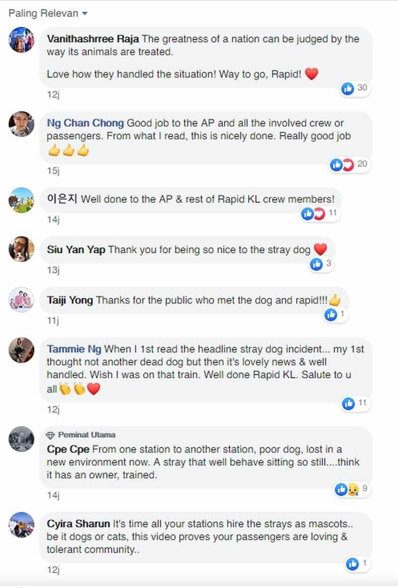 Facebook users commended Rapid Rail for not harming the canine. ― Screengrab via Facebook/RapidKL Facebook users commended Rapid Rail for not harming the canine. ― Screengrab via Facebook/RapidKL