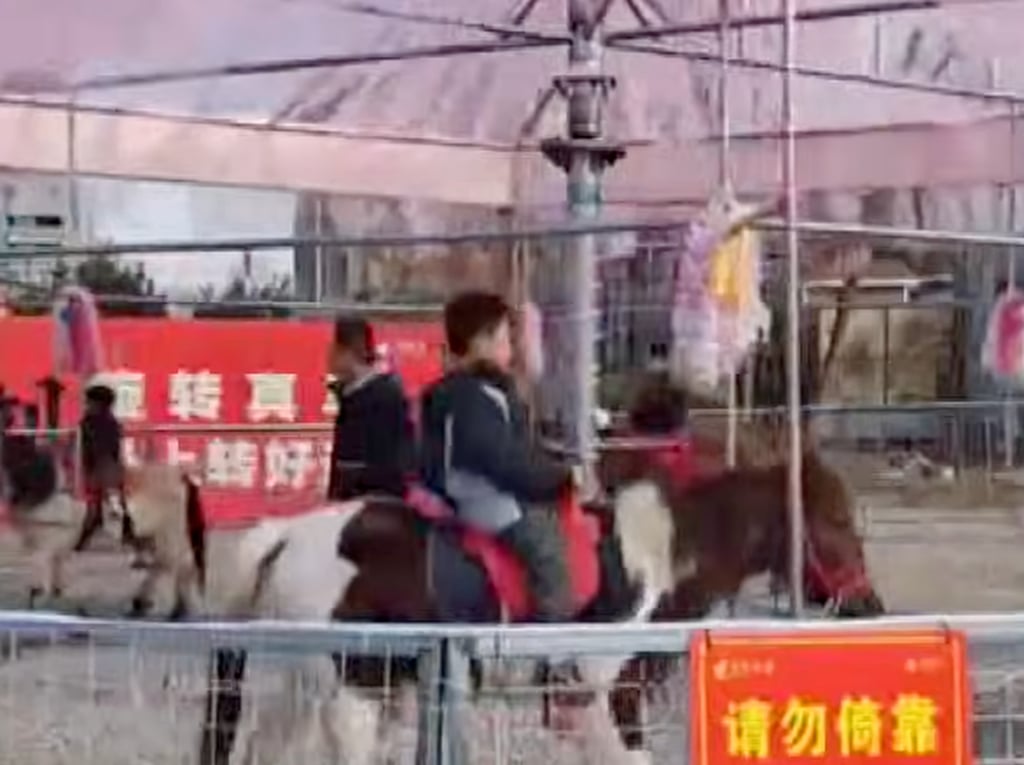 Videos shared on social media reveal six horses secured to a metal carousel frame, each placed around one metre apart. Photo: YouTube Videos shared on social media reveal six horses secured to a metal carousel frame, each placed around one metre apart. Photo: YouTube