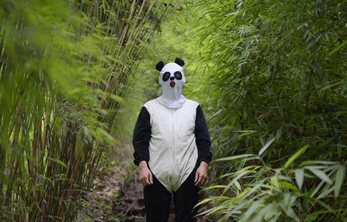 A person in a panda costume