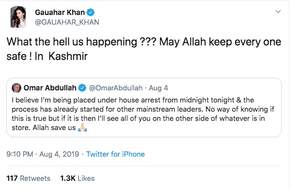 Celebs From India And Pakistan Sound Off On Article 370