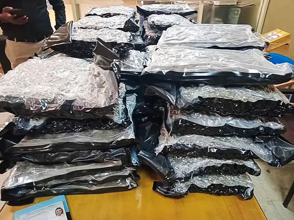 Seized packages of drugs.