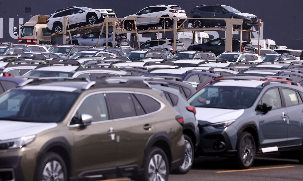 Rows of cars, some on transport trucks