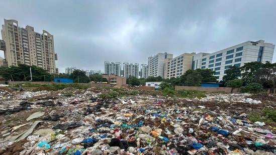 In Bengaluru, India’s IT hub, Kiran Mazumdar-Shaw, the founder of Biocon and a city resident, renewed the debate about garbage mismanagement with her viral post on X. (HT Archive) In Bengaluru, India’s IT hub, Kiran Mazumdar-Shaw, the founder of Biocon and a city resident, renewed the debate about garbage mismanagement with her viral post on X. (HT Archive)