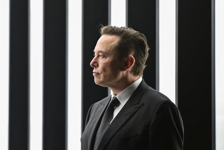 Elon Musk stands in a room with stripes of light.