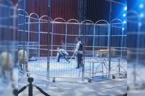 The incident took place at a circus in Luoyang, China.(credits: Twitter/@WeAreNotFood)