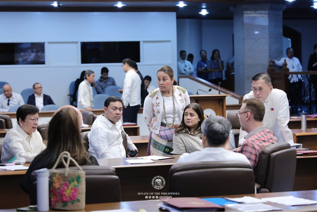 Senate plenary session