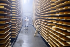 (Jean-Christophe Bott / Keystone) Room full of cheese, Switzerland
