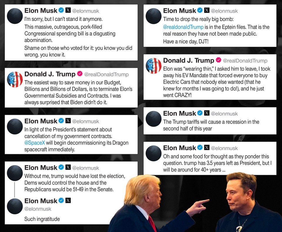 Collage of Elon Musk and Donald Trump tweets.