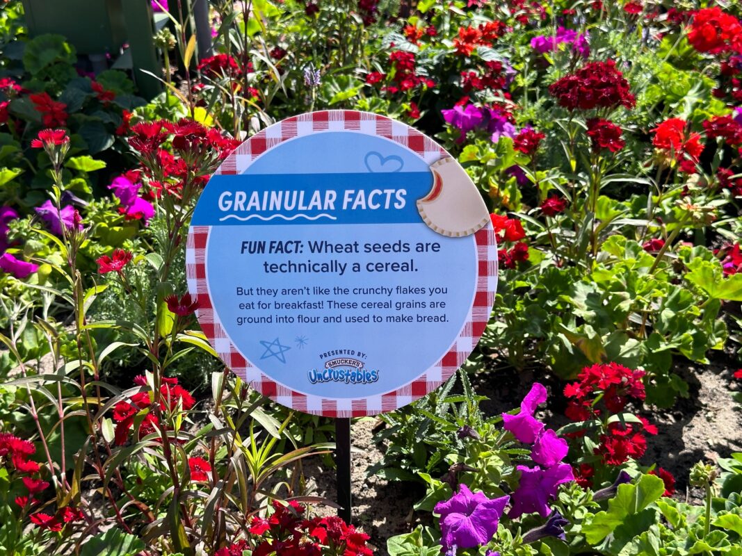 New PB&J Garden Presented by Uncrustables at 2024 EPCOT International Flower & Garden Festival 3 A Grainular Facts sign